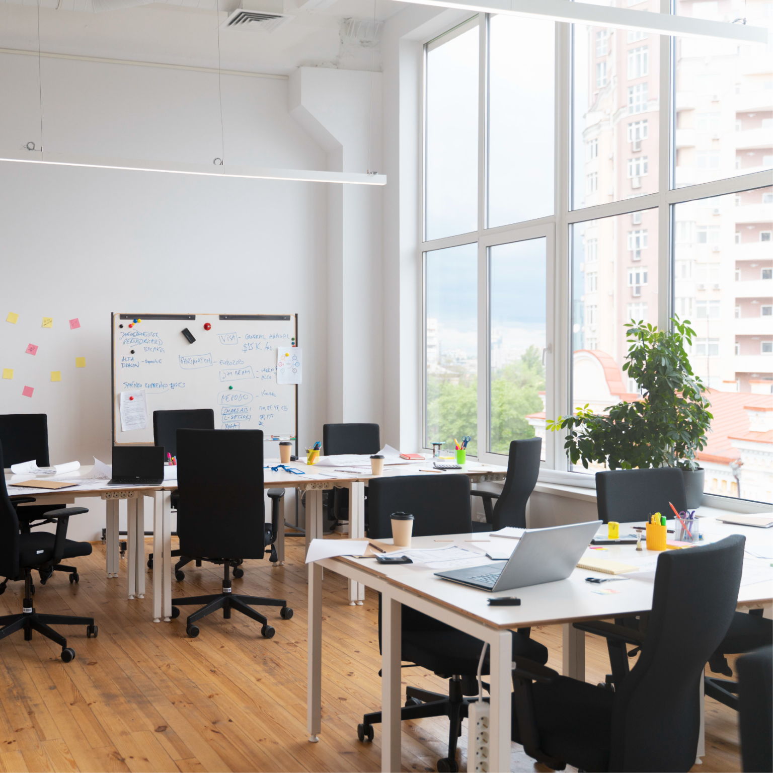 Limpieza de oficinas y locales
